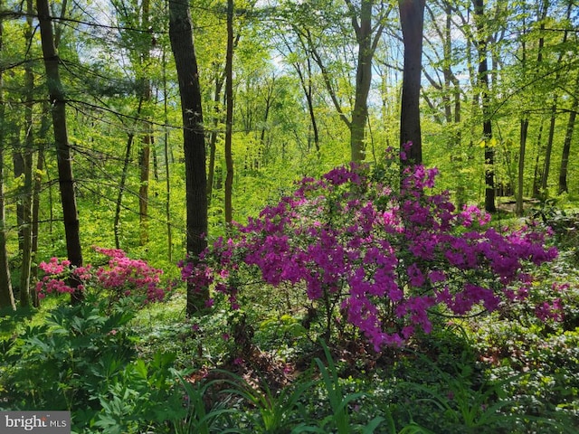 1738 Shanwick Rd, Forest Hill, MD 21050 - view of tree filled area