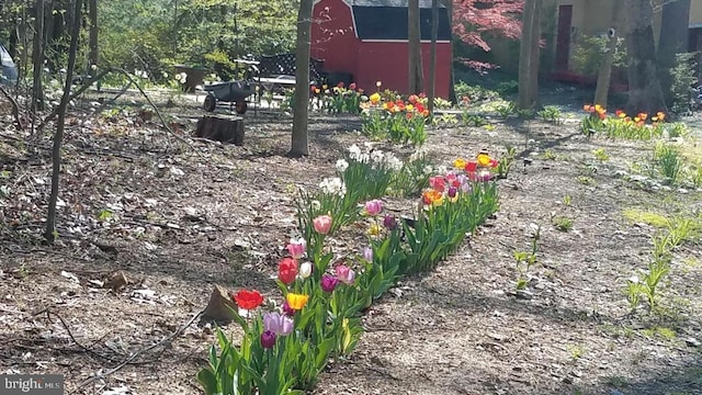 1738 Shanwick Rd, Forest Hill, MD 21050 - view of yard