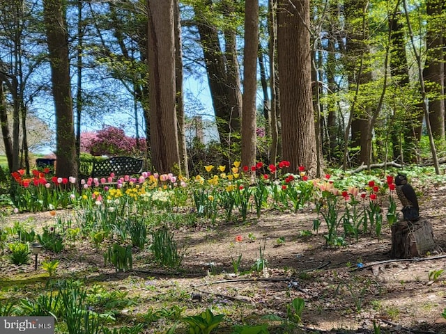 1738 Shanwick Rd, Forest Hill, MD 21050 - view of yard