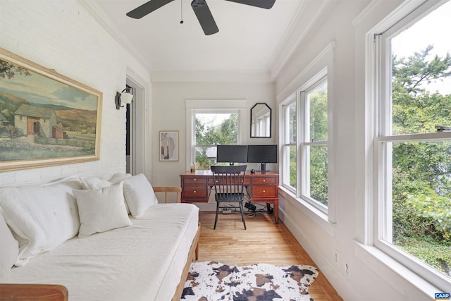 883 Locust Ave, Charlottesville, VA 22902 - office featuring crown molding, baseboards, ceiling fan, and light wood-type flooring