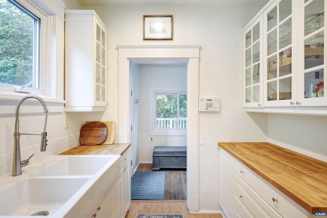 883 Locust Ave, Charlottesville, VA 22902 - laundry area featuring a sink, light wood-style flooring, and a wealth of natural light
