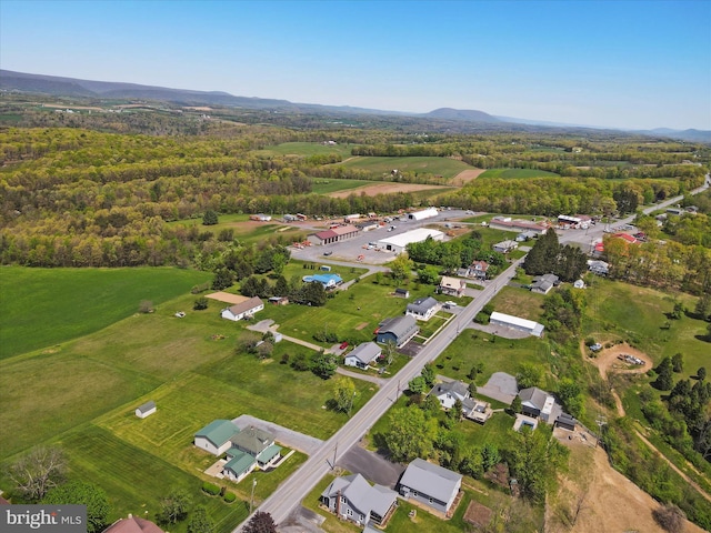 bird's eye view featuring a mountain view and a wooded view