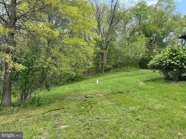 15004 Burnt Mill Rd, Shippensburg, PA 17257 - view of grassy yard