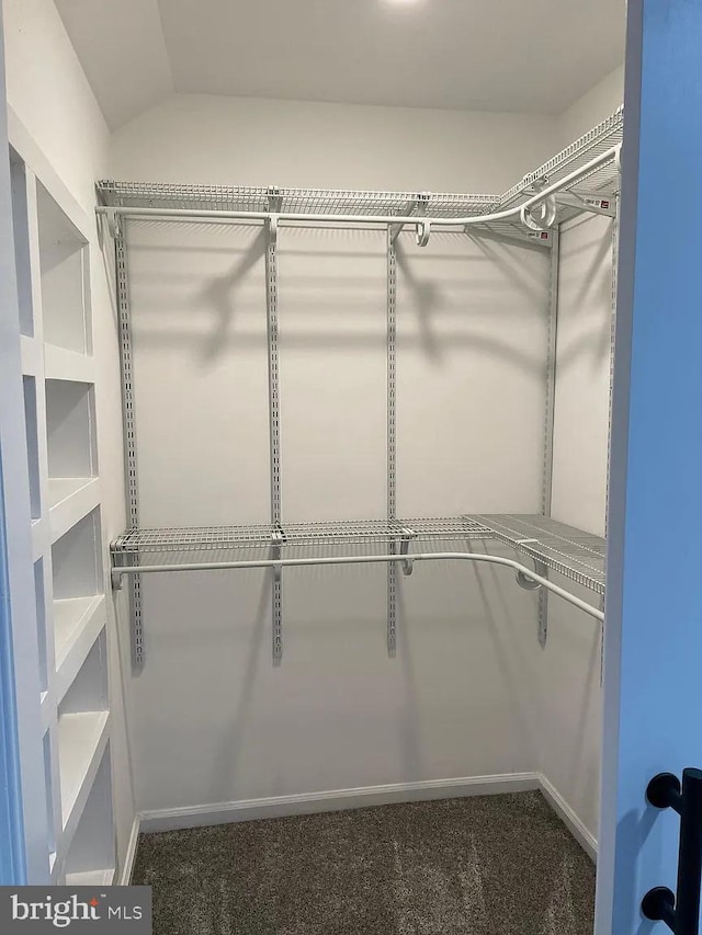 walk in closet with carpet floors and lofted ceiling