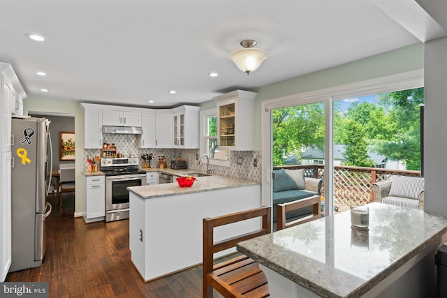 202 Trail Ct, Sterling, VA 20164 - kitchen featuring stainless steel appliances, under cabinet range hood, a peninsula, decorative backsplash, and dark wood-style floors