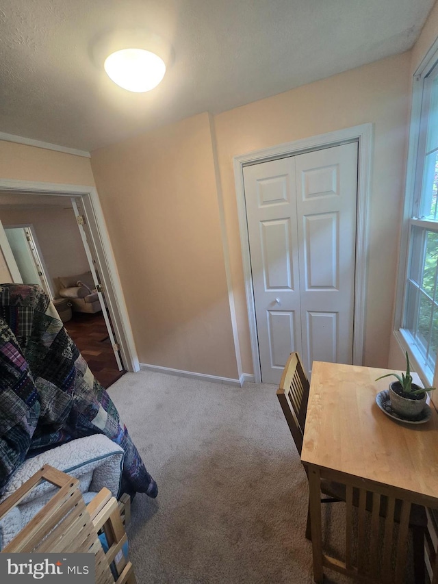 bedroom featuring carpet floors, a closet, and baseboards