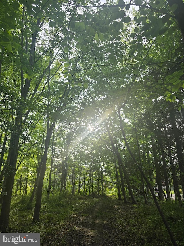 view of nature