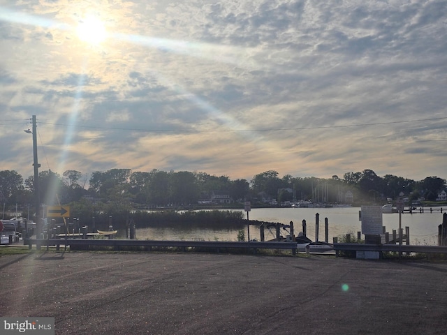 dock area featuring a water view