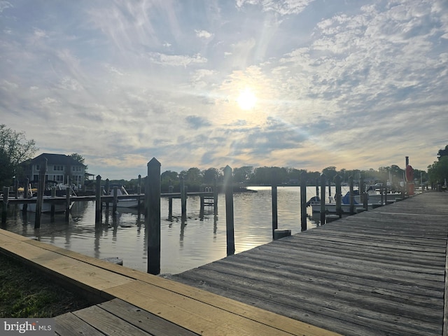 dock area with a water view