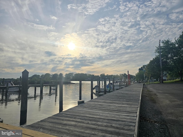 dock area featuring a water view