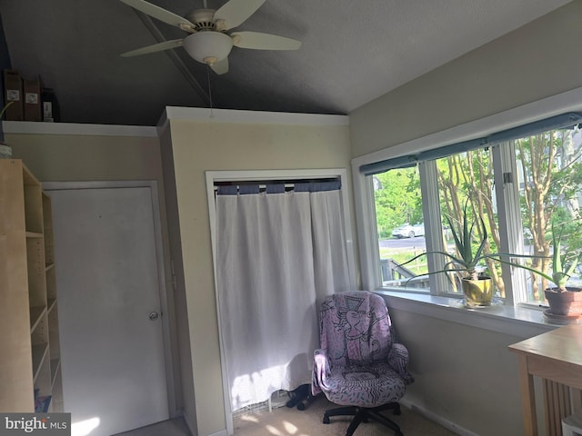 bedroom with vaulted ceiling and ceiling fan