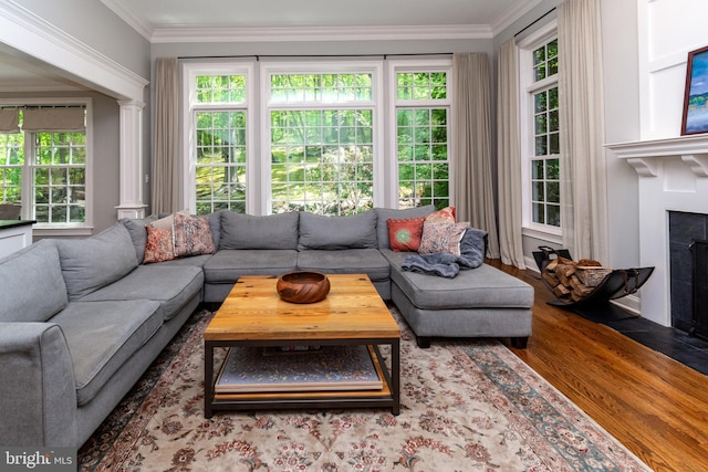 living room featuring a fireplace with flush hearth, plenty of natural light, wood finished floors, and ornamental molding