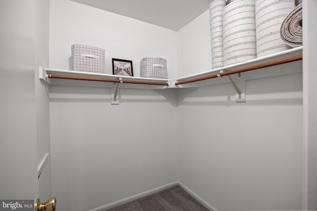 135 Woodlake Dr, Marlton, NJ 08053 - walk in closet featuring carpet