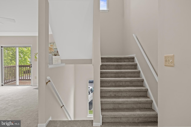 135 Woodlake Dr, Marlton, NJ 08053 - stairway with carpet flooring