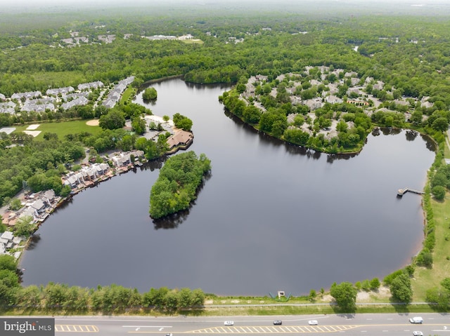 135 Woodlake Dr, Marlton, NJ 08053 - bird's eye view of a large body of water and a heavily wooded area