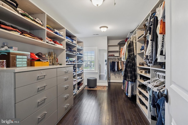 spacious closet with dark wood finished floors and visible vents