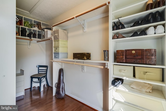 spacious closet with dark wood-style floors