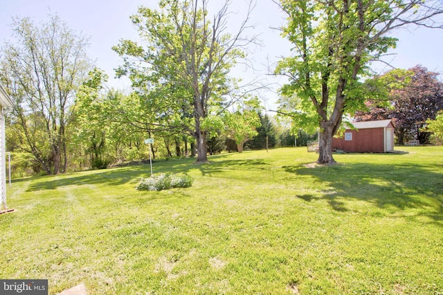 view of yard featuring a storage shed and an outbuilding