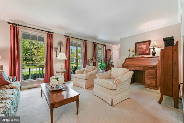 living area featuring carpet floors and ornamental molding