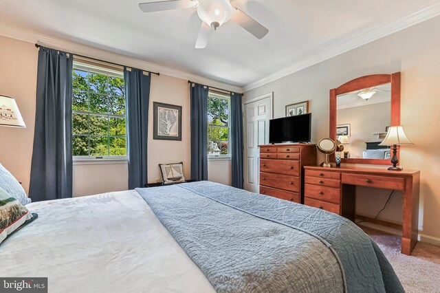 bedroom featuring ornamental molding, carpet, multiple windows, and ceiling fan