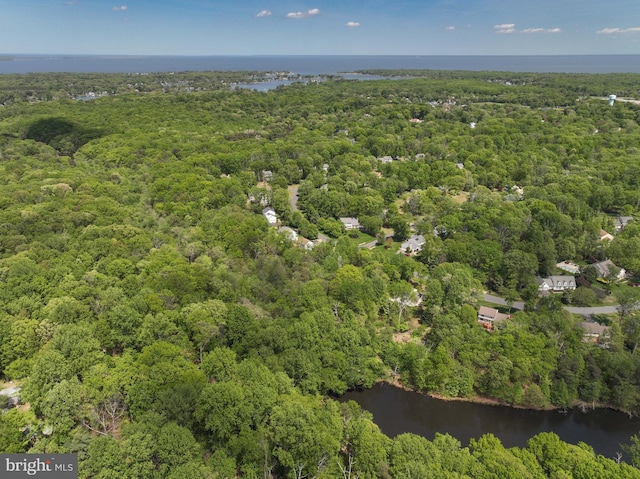 bird's eye view featuring a water view and a view of trees