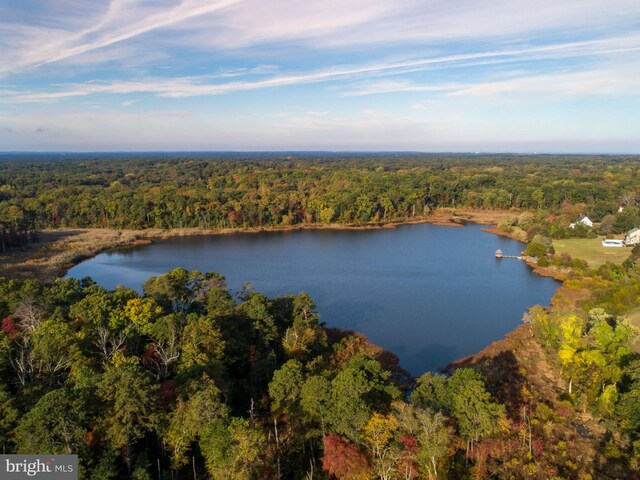 aerial view featuring a water view and a forest view