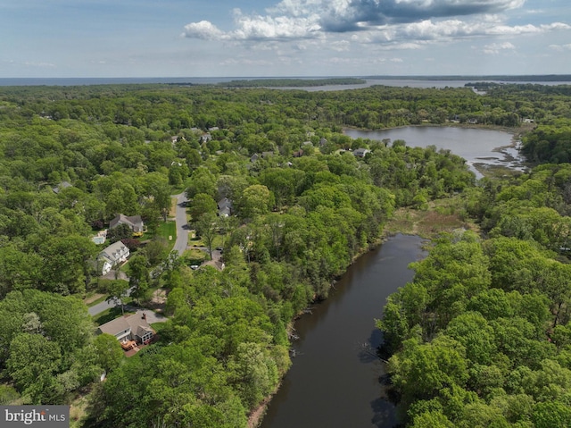 bird's eye view featuring a water view and a view of trees