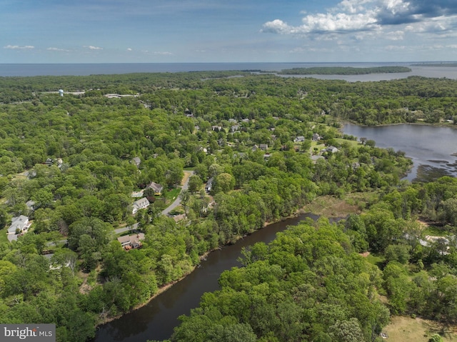 drone / aerial view featuring a water view and a wooded view