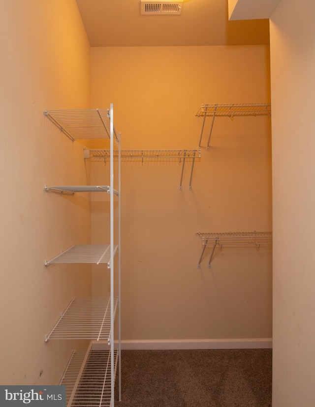 spacious closet with visible vents and carpet