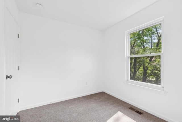 spare room featuring carpet and baseboards