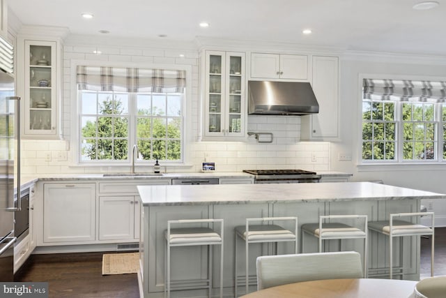 kitchen with crown molding, a sink, white cabinetry, tasteful backsplash, and under cabinet range hood