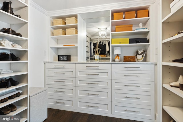 walk in closet with dark wood-style floors