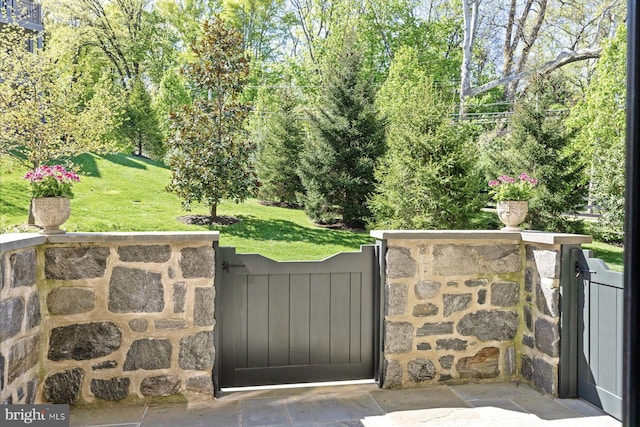 view of gate with a yard