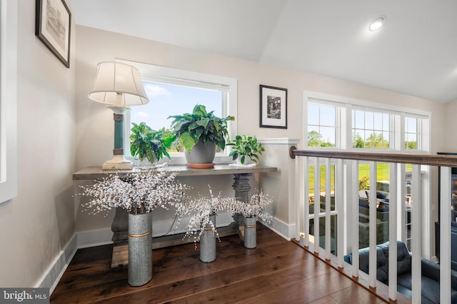 interior space featuring baseboards, a wealth of natural light, and hardwood / wood-style flooring