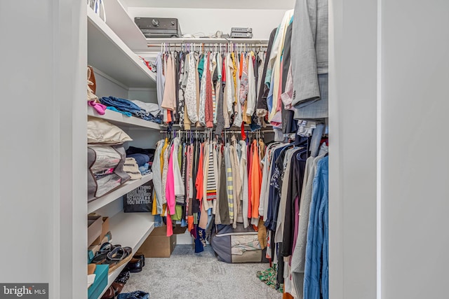 32991 Daisey Rd, Frankford, DE 19945 - walk in closet featuring carpet flooring