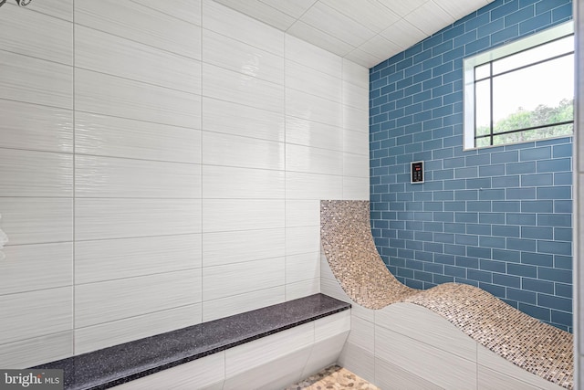 32991 Daisey Rd, Frankford, DE 19945 - full bathroom featuring tile walls and tiled shower