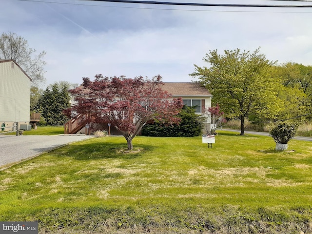 view of property hidden behind natural elements featuring aphalt driveway and a front yard