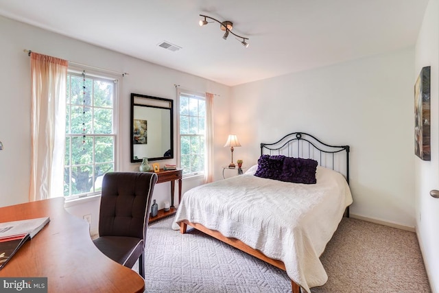 20662 Ashleaf Ct, Sterling, VA 20165 - bedroom with carpet flooring and baseboards