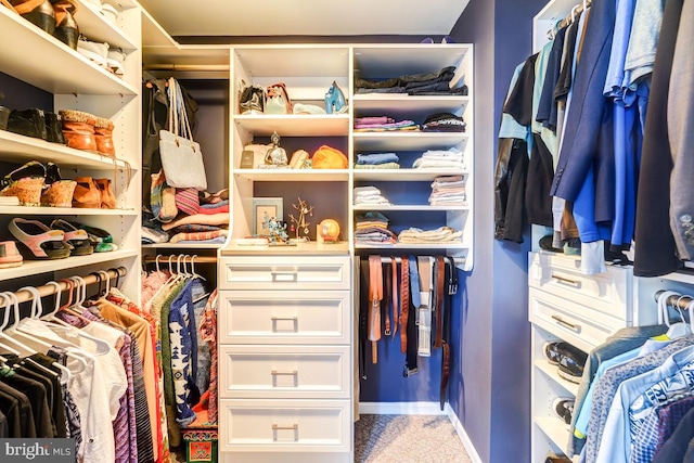 20662 Ashleaf Ct, Sterling, VA 20165 - view of walk in closet