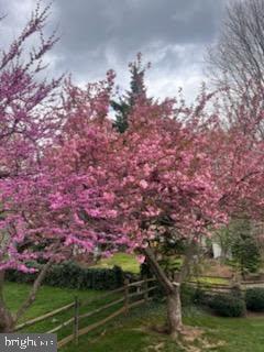 20662 Ashleaf Ct, Sterling, VA 20165 - view of yard