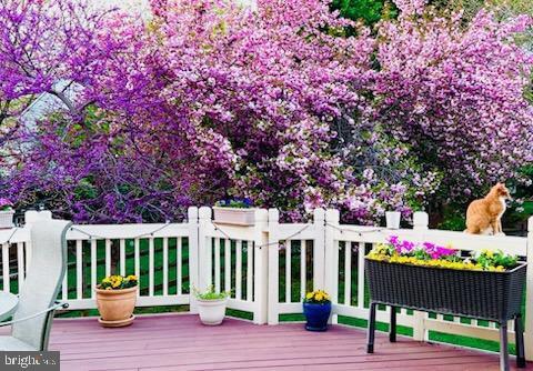 20662 Ashleaf Ct, Sterling, VA 20165 - view of wooden terrace