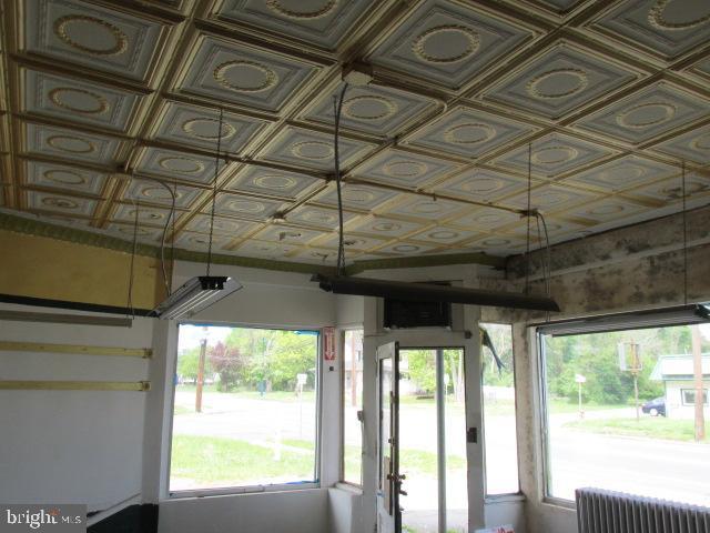 interior space featuring radiator and an ornate ceiling