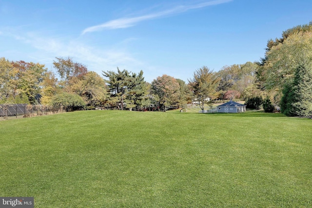 view of yard