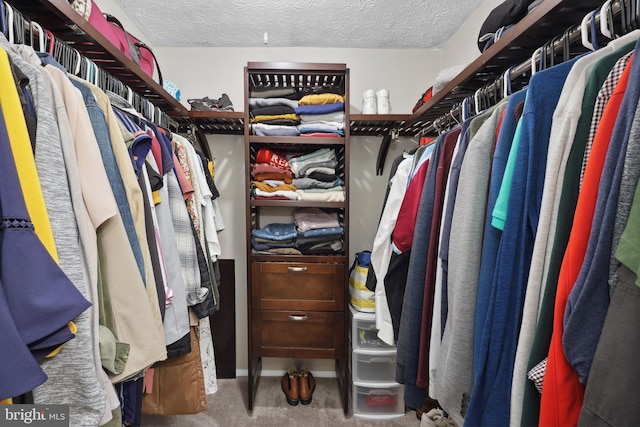 8140 Willowdale Ct, Springfield, VA 22153 - spacious closet featuring carpet