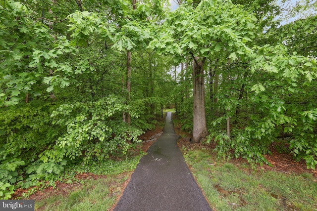 8140 Willowdale Ct, Springfield, VA 22153 - view of yard