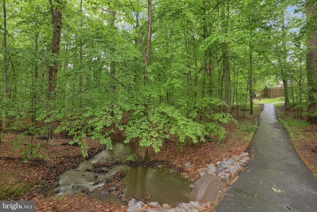 8140 Willowdale Ct, Springfield, VA 22153 - view of road