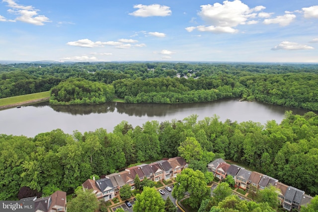 8140 Willowdale Ct, Springfield, VA 22153 - bird's eye view of a heavily wooded area and a large body of water