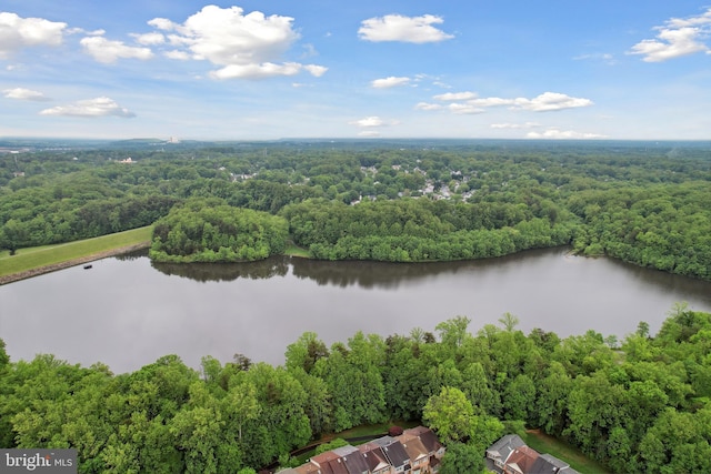 8140 Willowdale Ct, Springfield, VA 22153 - bird's eye view of a forest and a large body of water