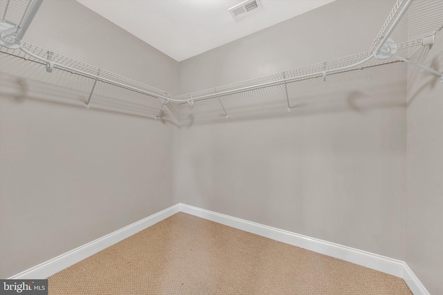 walk in closet with visible vents and carpet