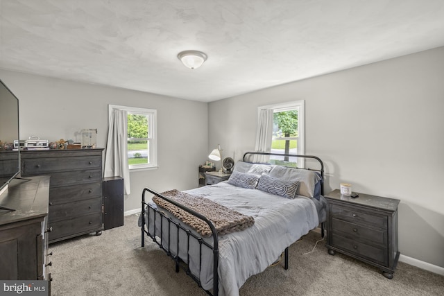 1004 Marietta Ave, Hanover, PA 17331 - bedroom with multiple windows, light carpet, and baseboards